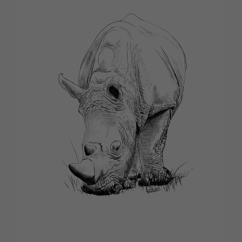 Nashorn