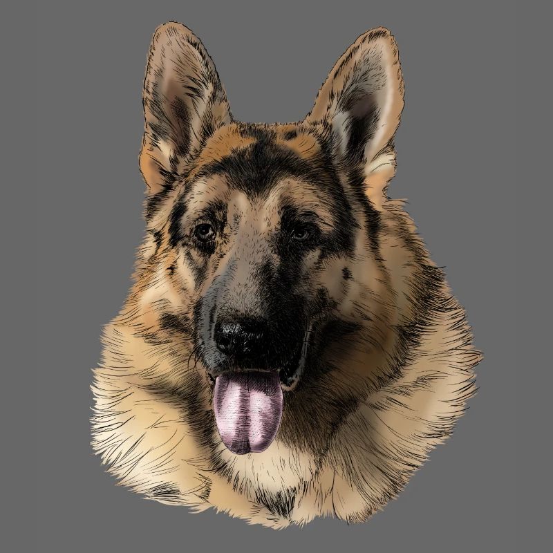 Schäferhund