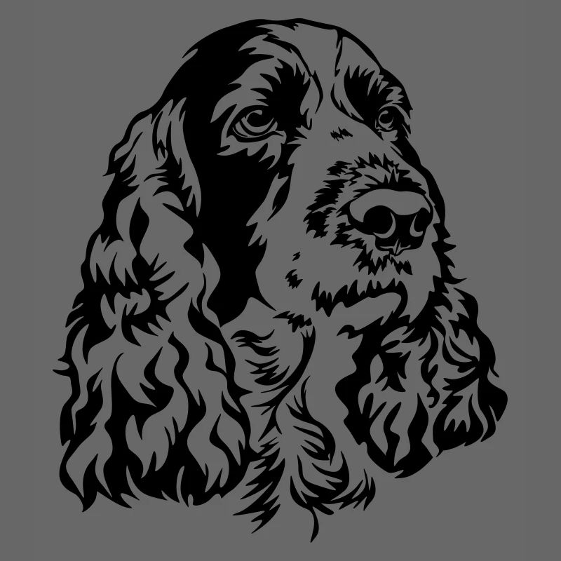 Englischer Springer Spaniel Kopf