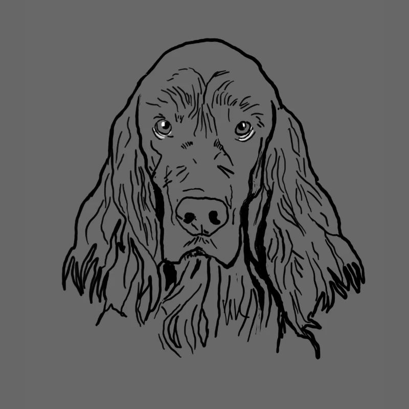 Irish Setter