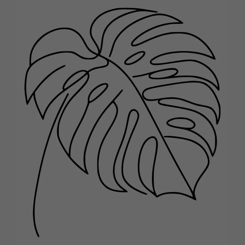 Monstera