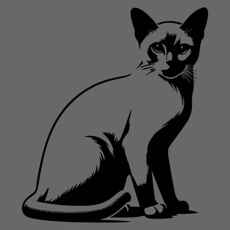 Burmese cat