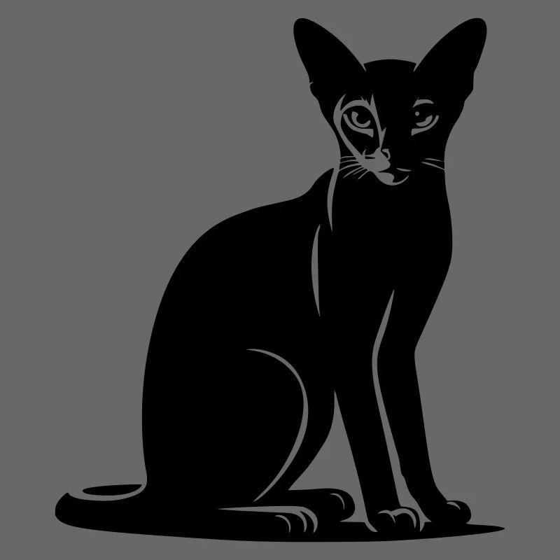 Abessiner Katze