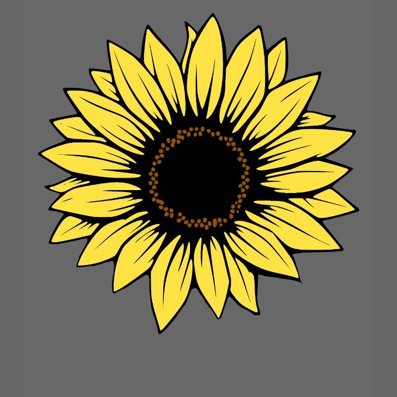 Fleur Fleur Jaune Fleurs Fleur Tournesol Fleur