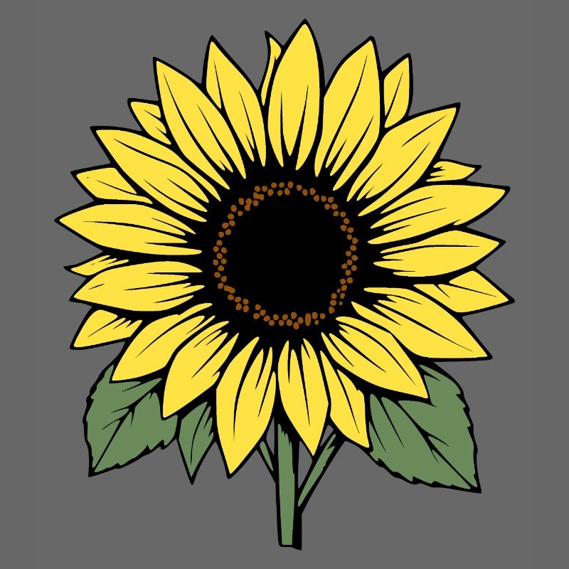 Fleur Fleur Jaune Fleurs Fleur Tournesol Fleur