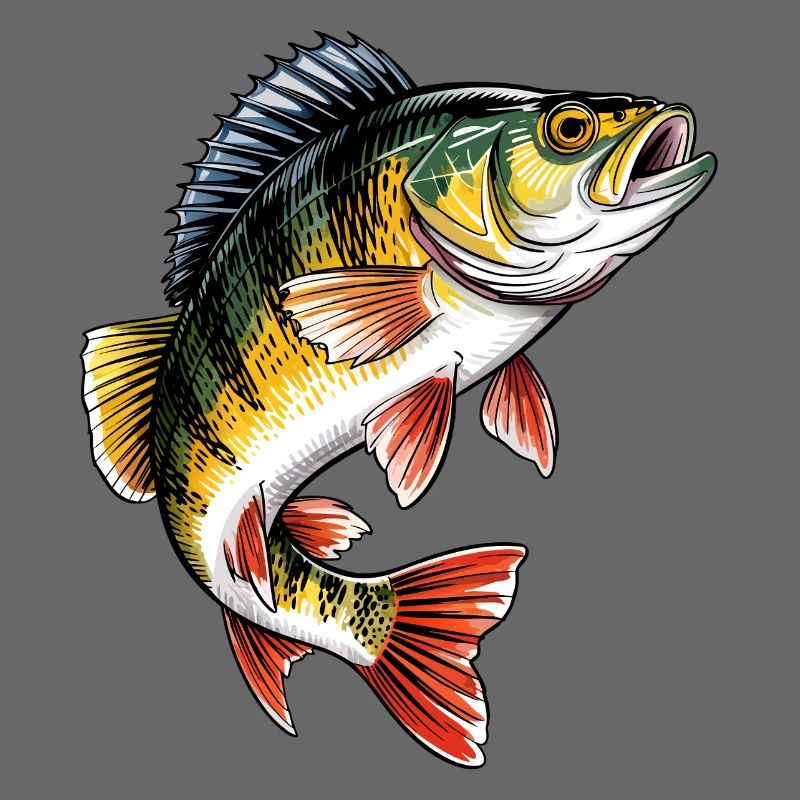 Pêche à la perche