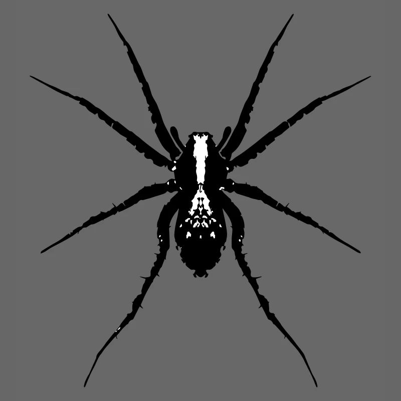 Spinne / Wolfsspinne