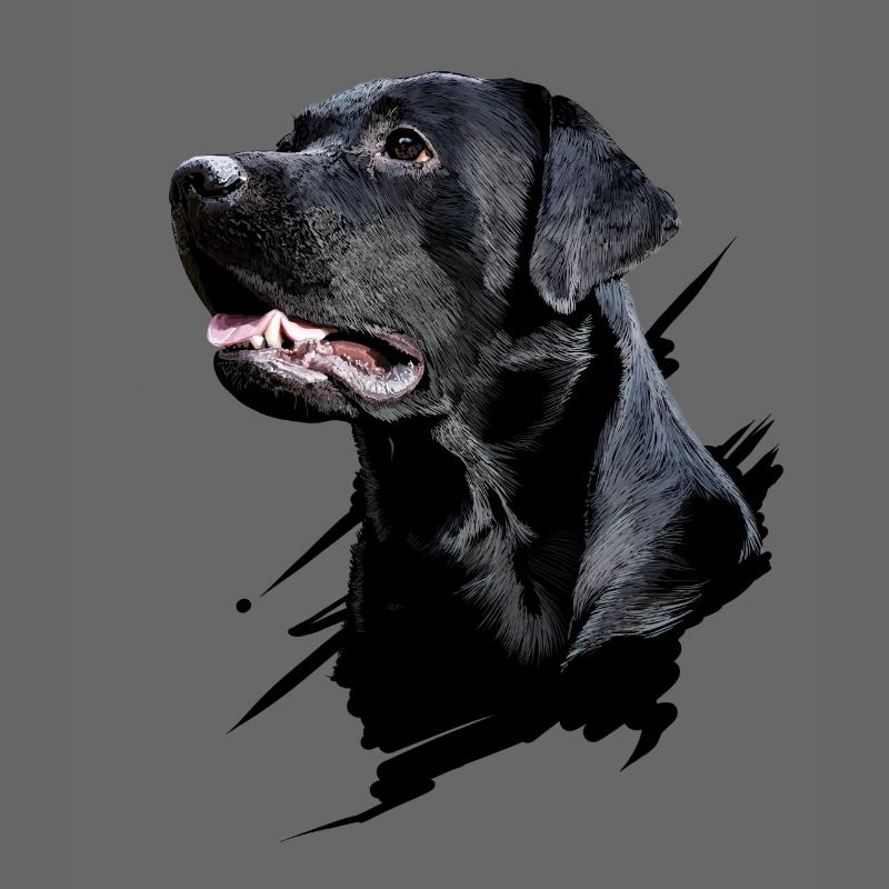 Labrador