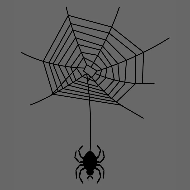 spinnennetz