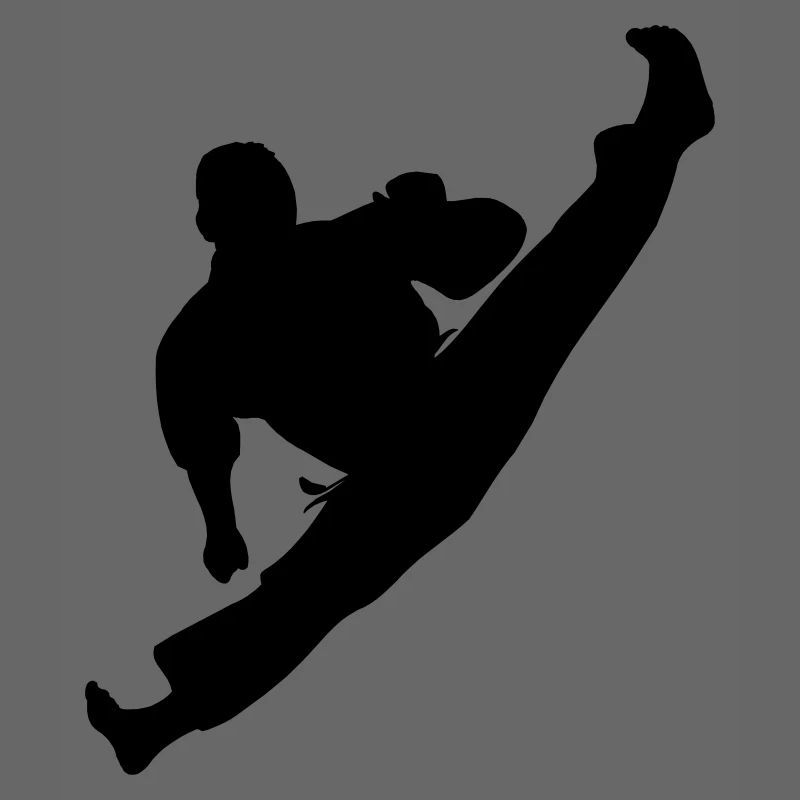 Jumpkick Geri Kick Karate oder Teakwondo