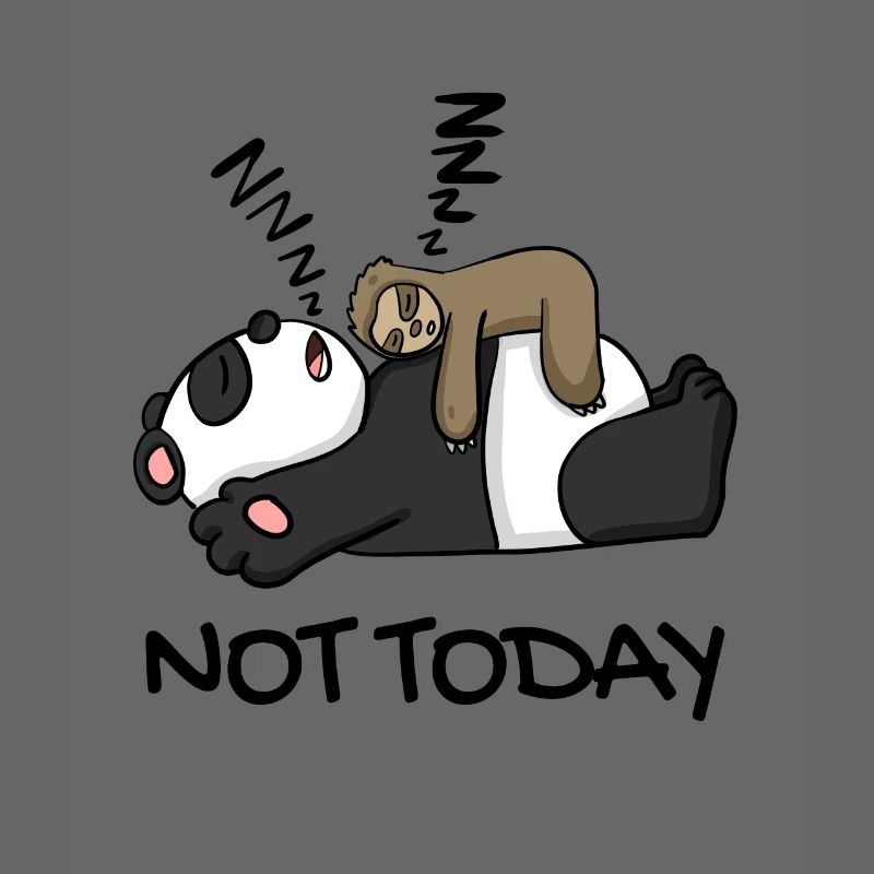 Faultier und Panda