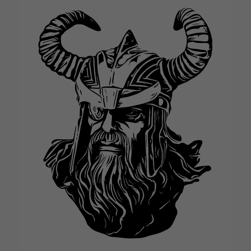 Odin Wikinger