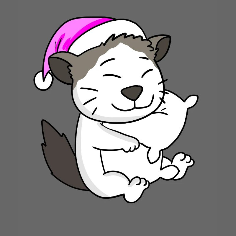 Chat race Ragdoll