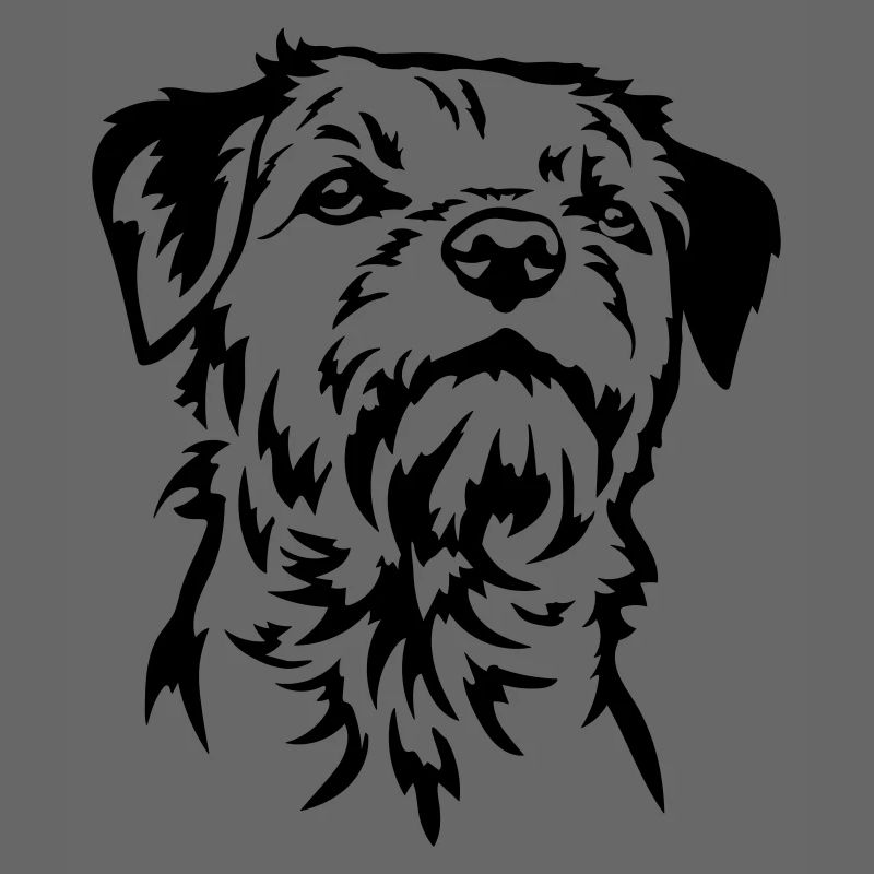 Tête de Border Terrier