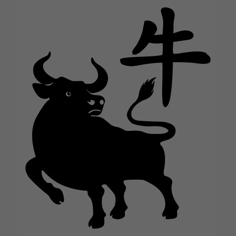 Caractère chinois OS avec image du système d’exploitation, ombre