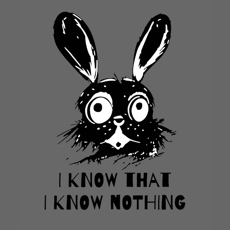 I know that I don't know anything - Wise Rabbit