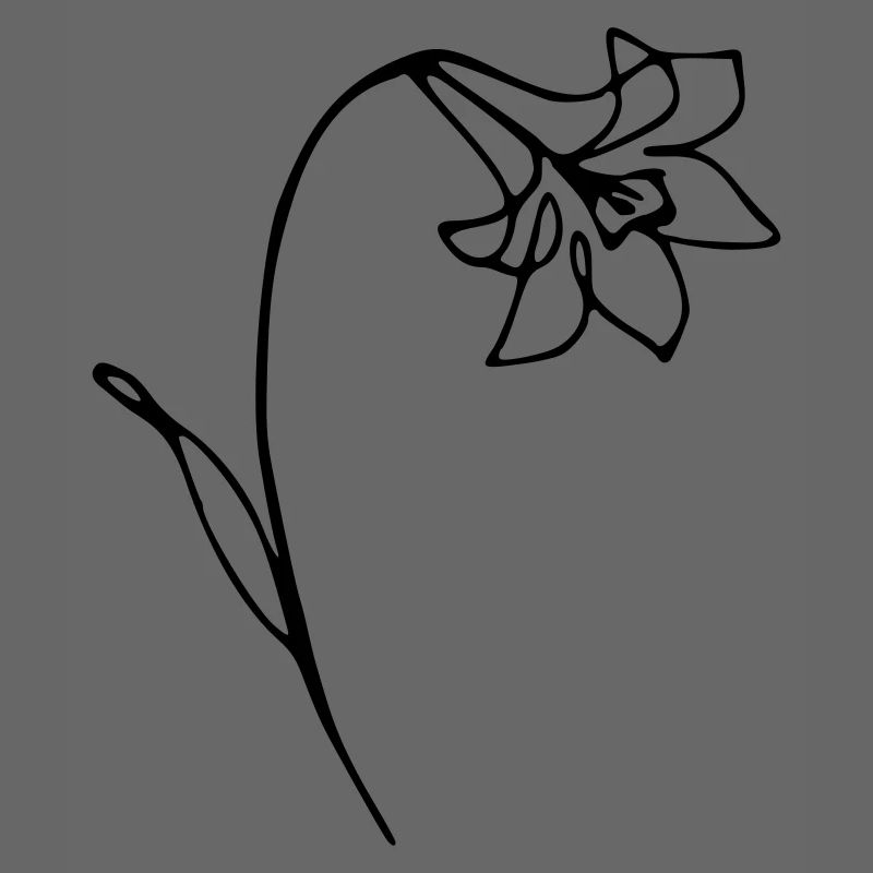 narcisse