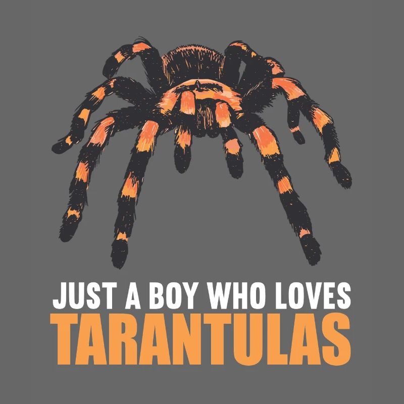 Tarantulas Tarantula
