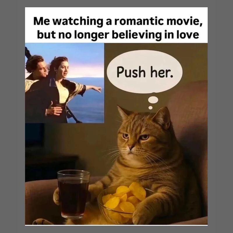 Cat Meme Push Romance