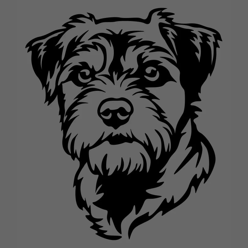 Border Terrier Kopf