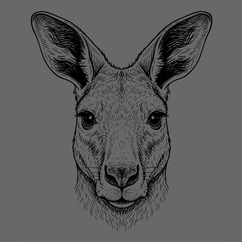 Känguru