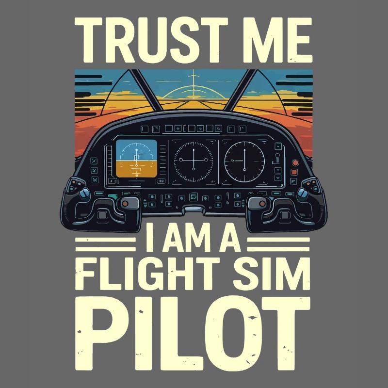 Vertrau mir ich bin ein Flugsimulatorpilot