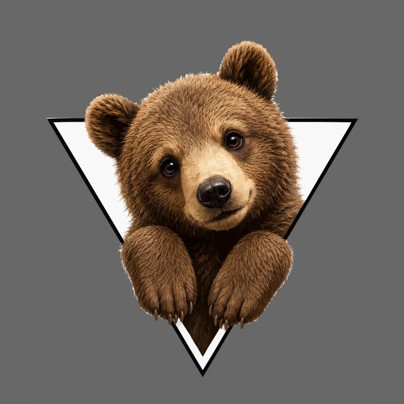 Bear cub in triangle