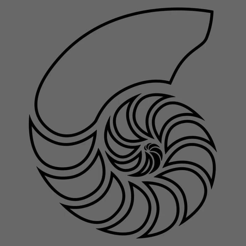 nautilus spiral shell