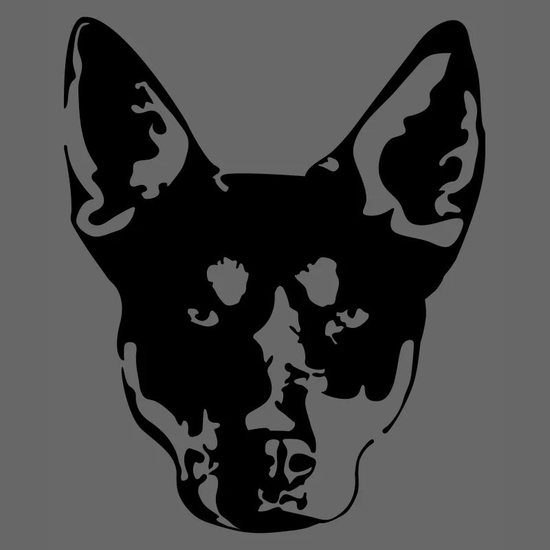 Kelpie Kopf