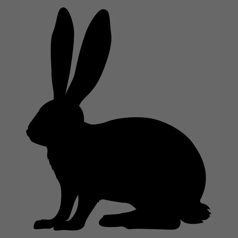 Rabbit, Hase, Bunny
