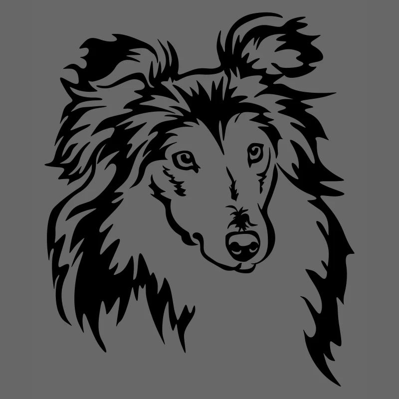 Tête de Sheltie