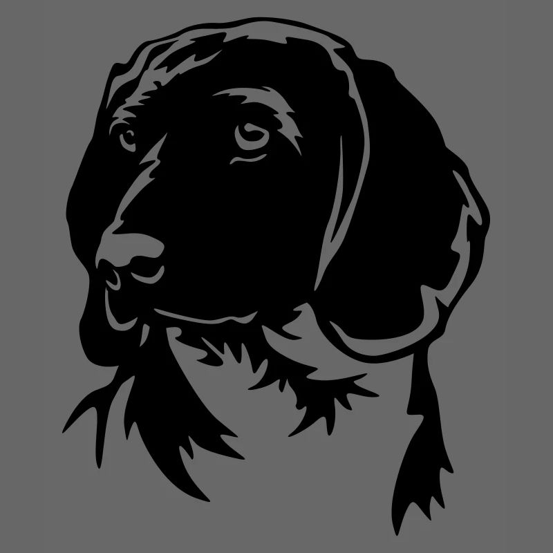 Bayerischer Gebirgsschweißhund Kopf