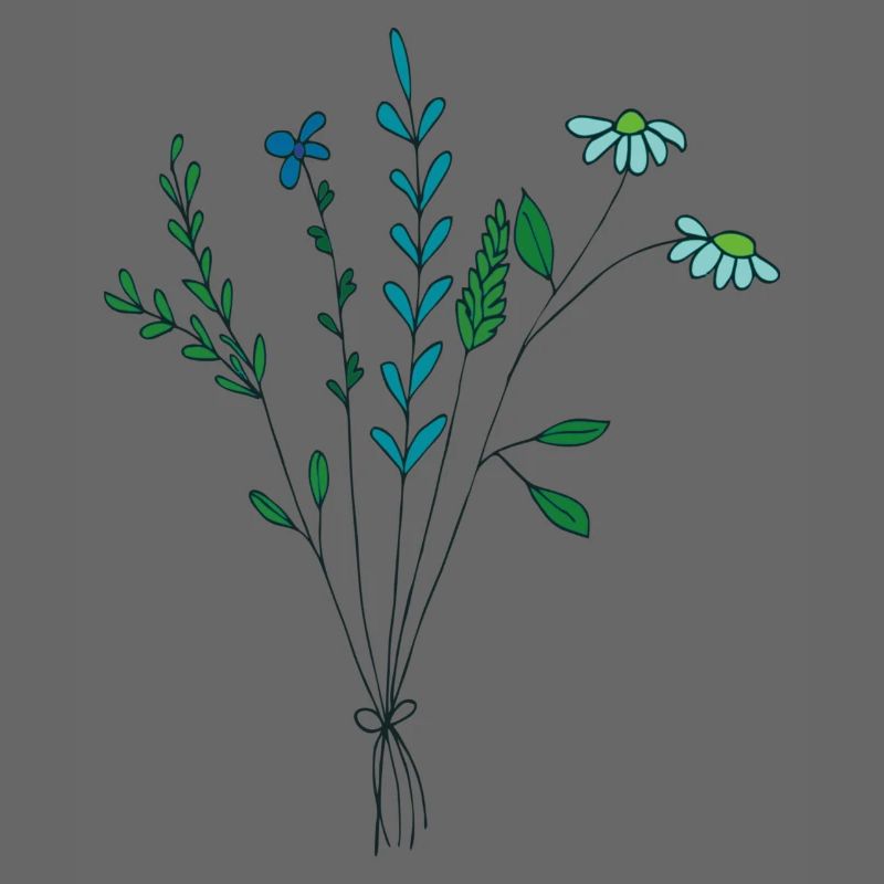 fleur prairie tons bleus fleurs sèches