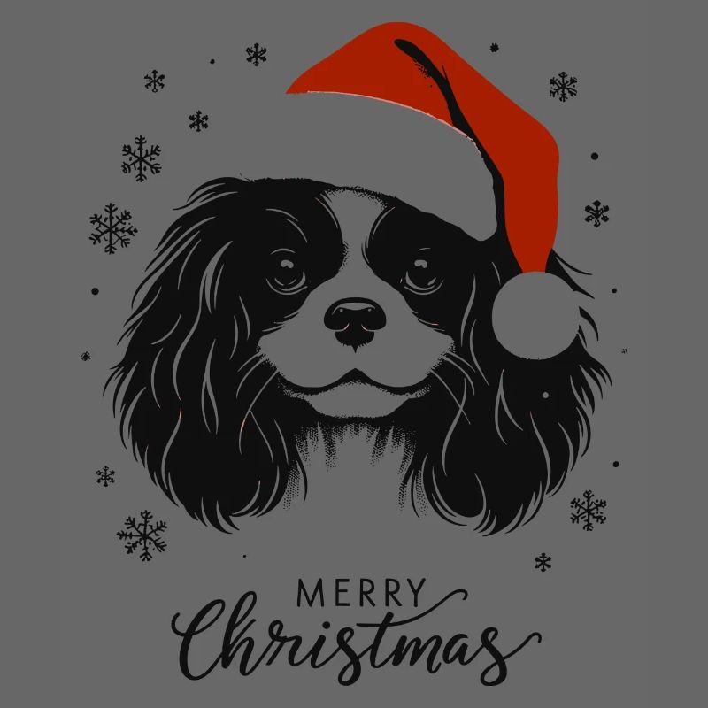 Cavalier King Charles Spaniel - Joyeux Noël