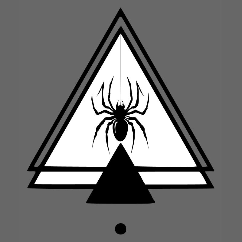 Spinne
