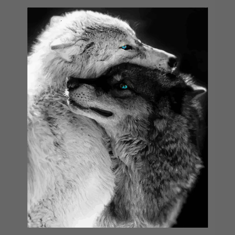 Two Wolves Hugging Blue Eyes