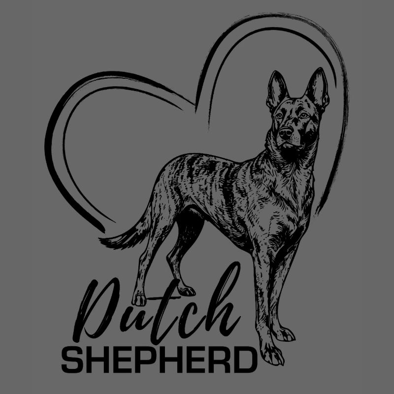 Dutchie - Holländischer Schäferhund
