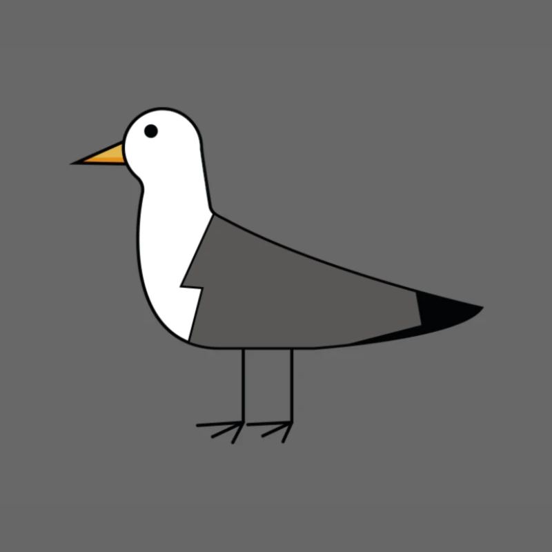 Möwe