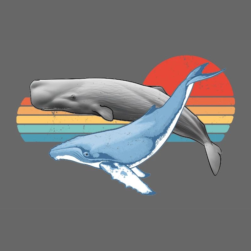 Sperm whale and humpback whale