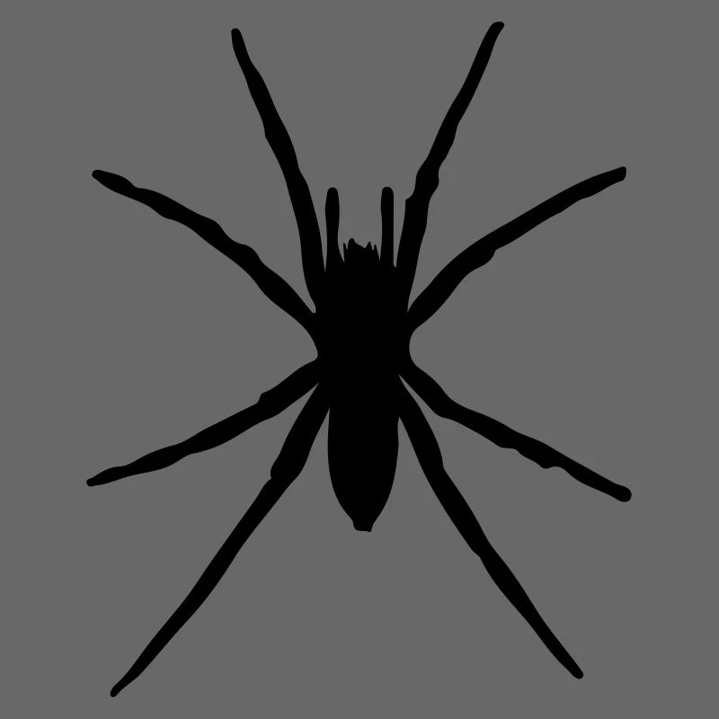 spider silhouette