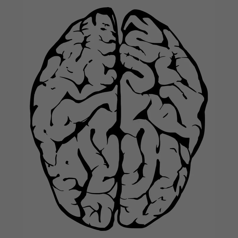 brain