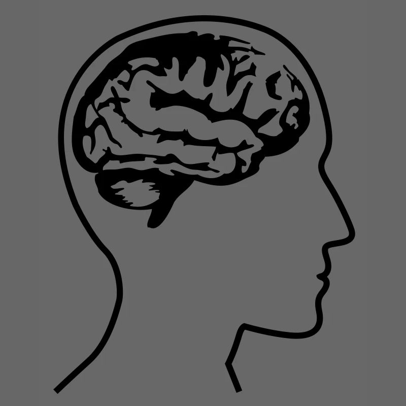 brain_head___f1