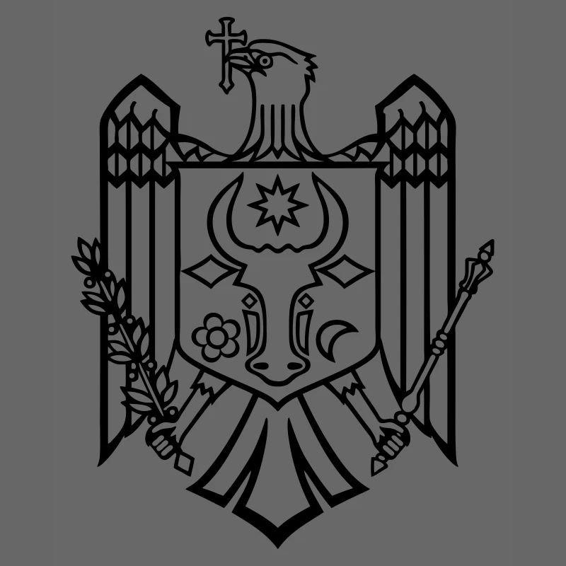 drapeau moldave emblème de Chisinau Moldavie