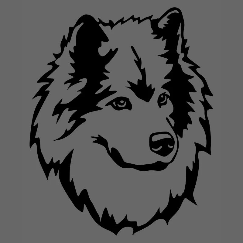 Eurasier Kopf