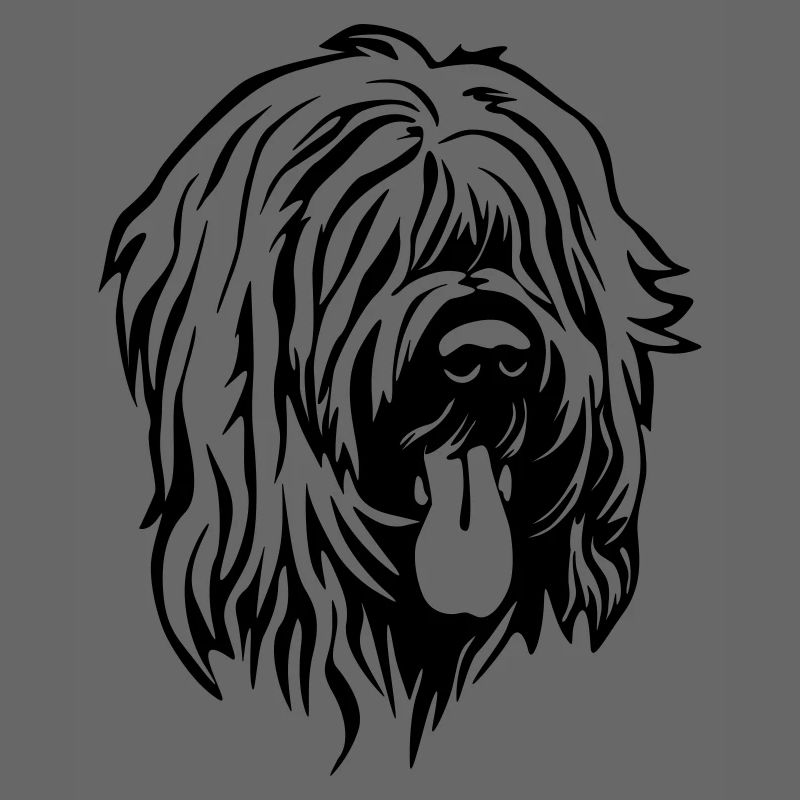 Tête de Briard