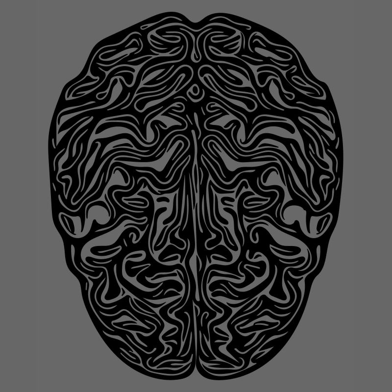 Gehirn - Anatomischer Vector