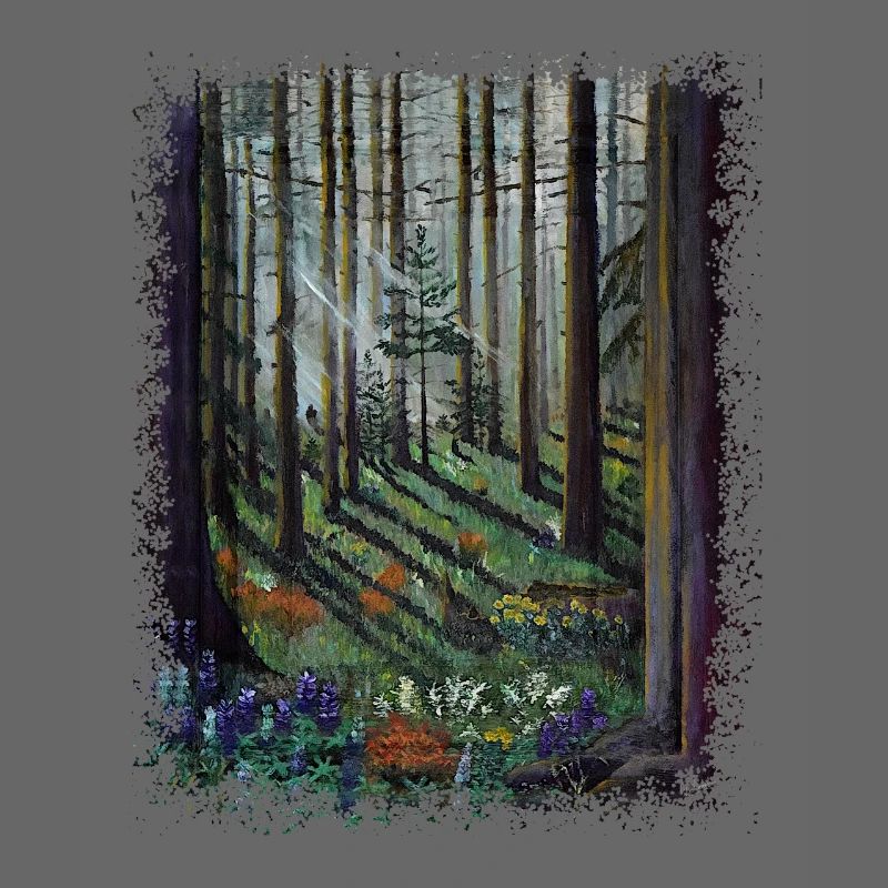 Forêt ensoleillée avec clairière ombragée
