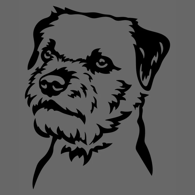 Border Terrier Kopf