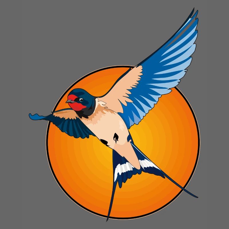Schwalben 2