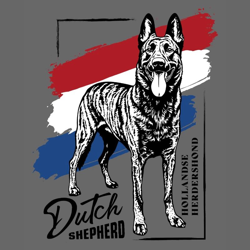 Dutch Shepherd - Dutchie 